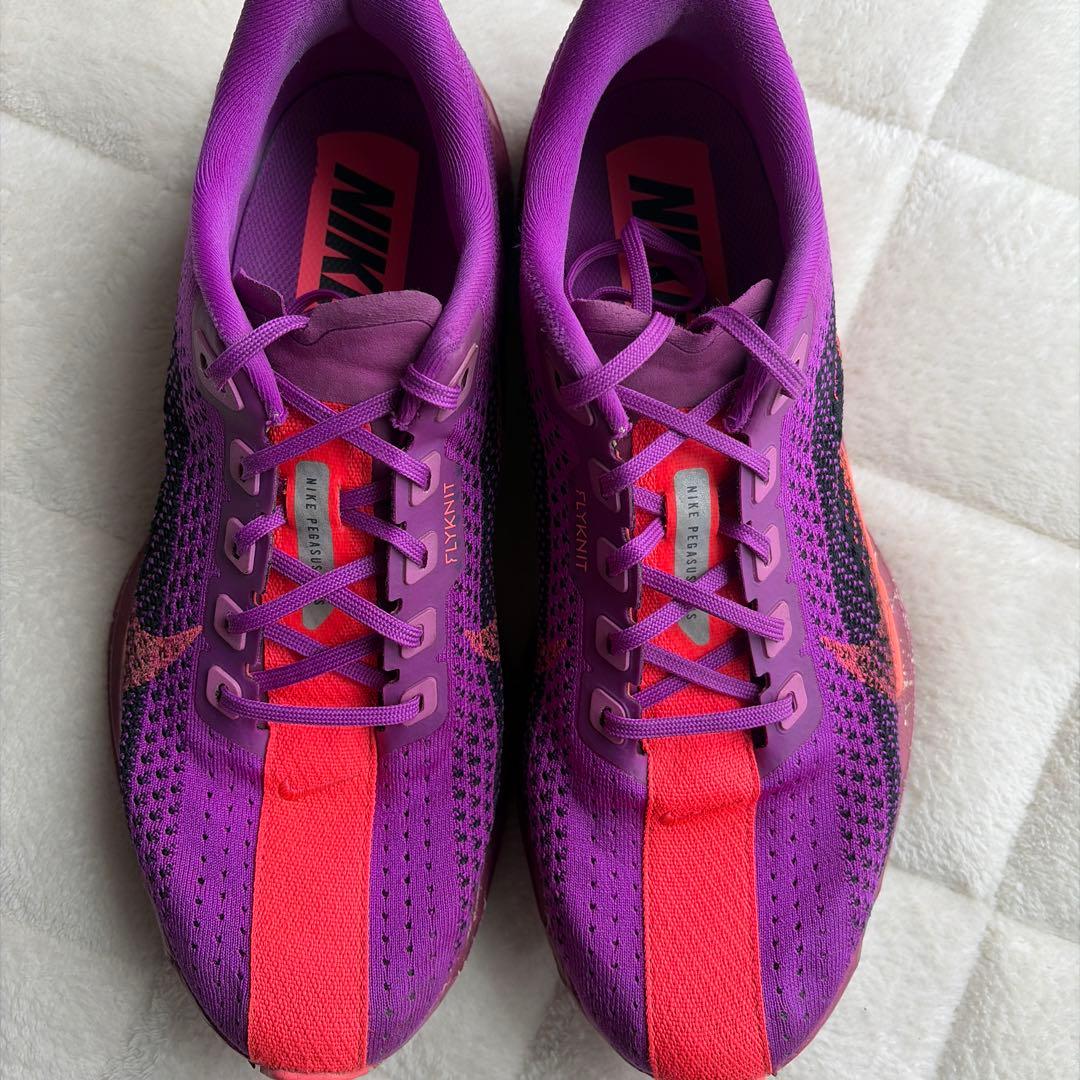 Nike ペガサスプラス　27.0cm