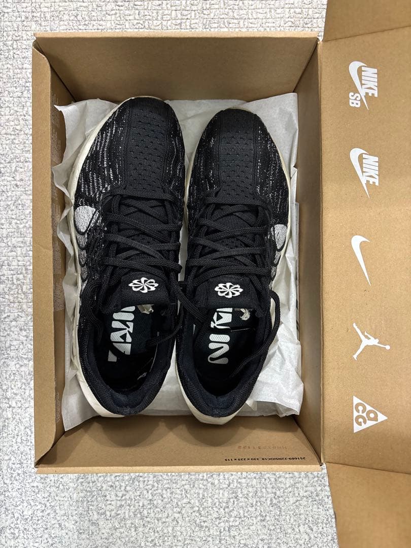 NIKE ペガサスターボ ネクストネイチャー 27.5cm ズームX 状態良