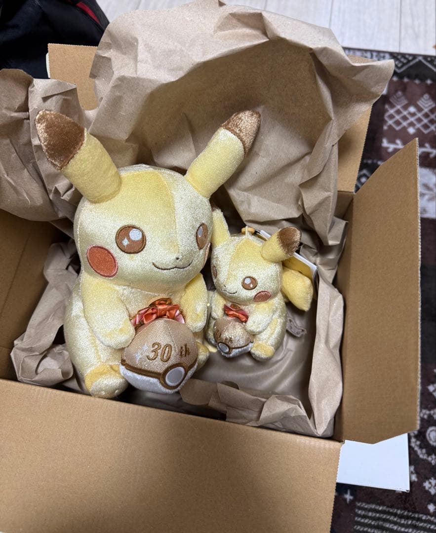 ピカチュウ 30年ぬいぐるみ 大小セット