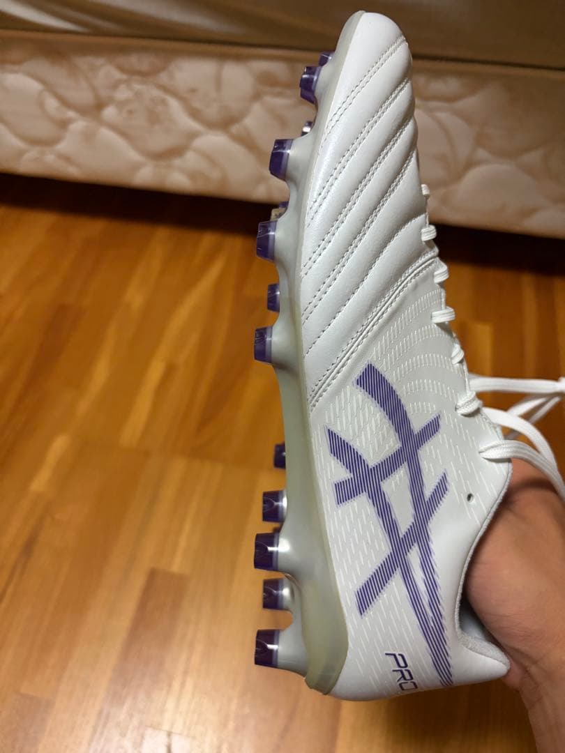 【けんじ】 DS LIGHT X-FLY PRO 2