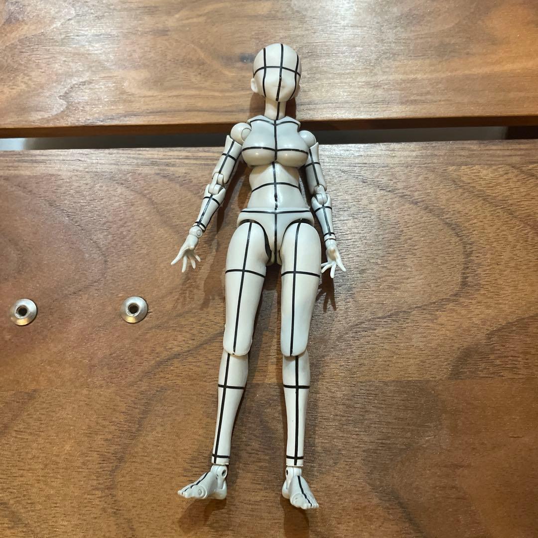 フィギュアーツ ボディちゃん ボディくん ワイヤーフレーム セット