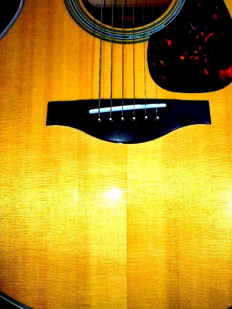 YAMAHA　ls6 are アコギ　ソフトケース付