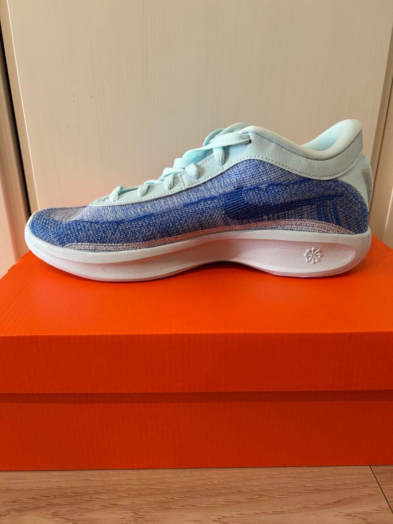NIKE バスケットボールシューズ