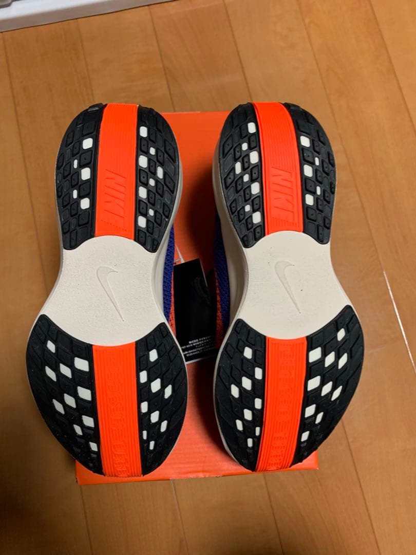 NIKE PEGASUS PLUS ２６cm