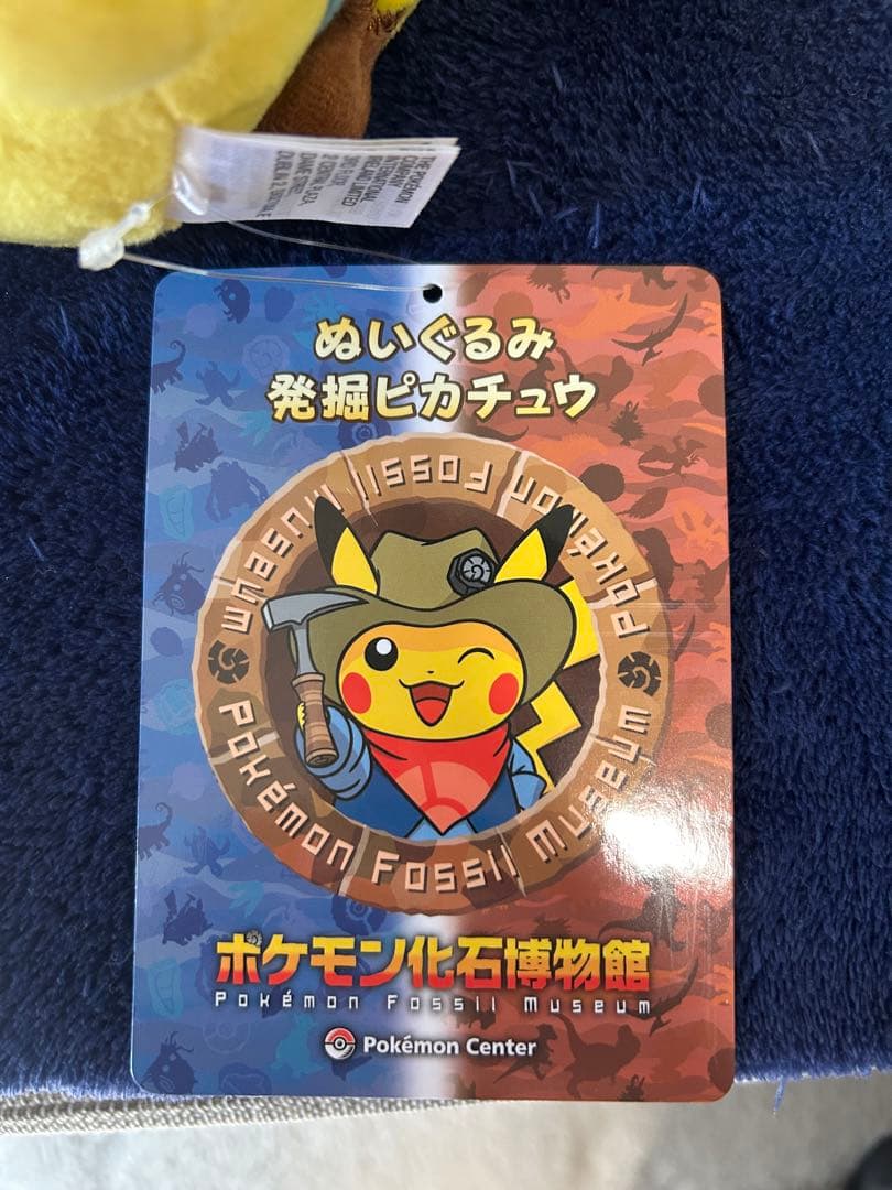 ポケモン化石博物館 発掘ピカチュウ ぬいぐるみ & マスコット 2点 セット