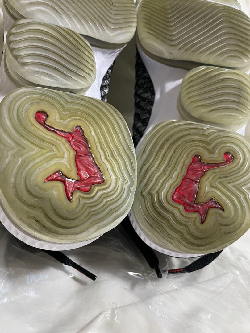 Nike LeBron 16 オレオ　バッシュ　26cm