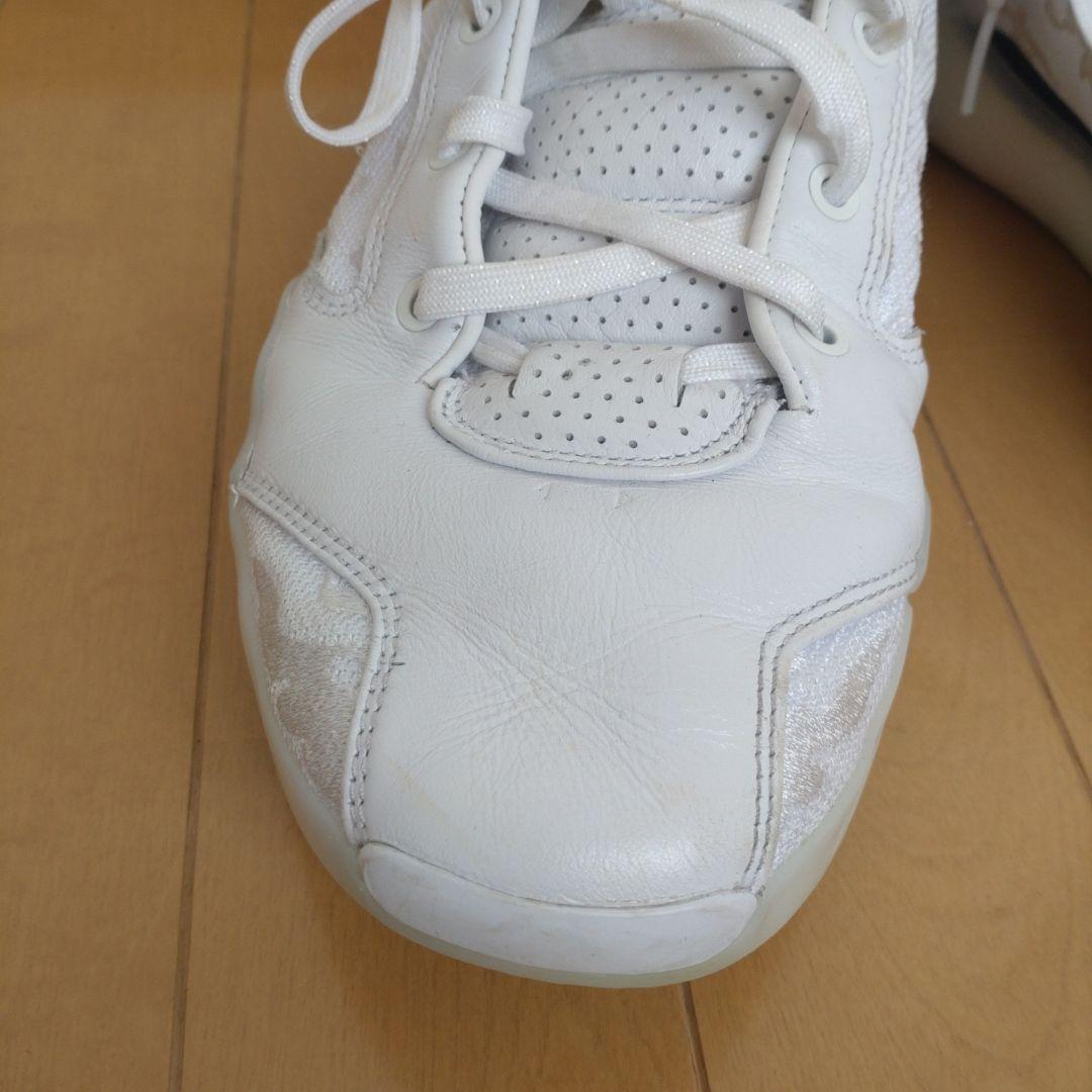 【NIKE】AirJordan39 ホワイト 29cm