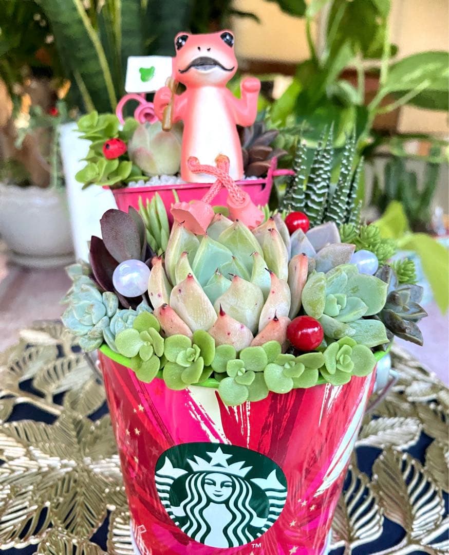 多肉寄せ植え✿カエル✿スタバ✿そのまま飾れます