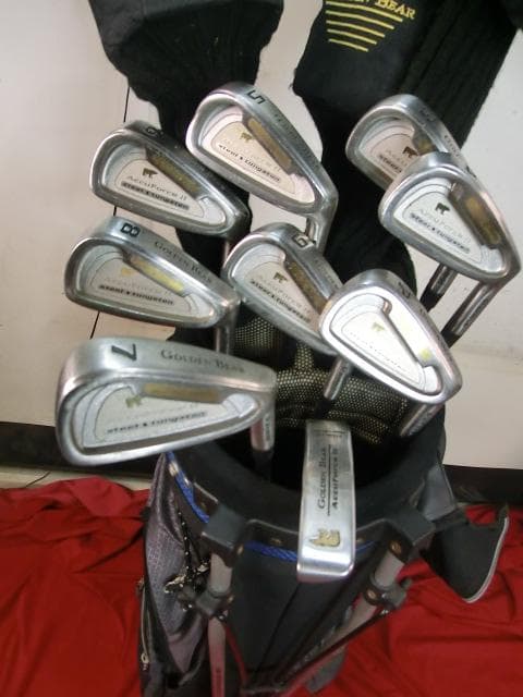 252：Golden Bear ～　中古　ジャンク　引取限定：埼玉県所沢市