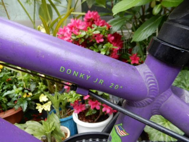 MARINキッズマウンテンバイクDONKY Jr20-パープル6段変速付 子供用