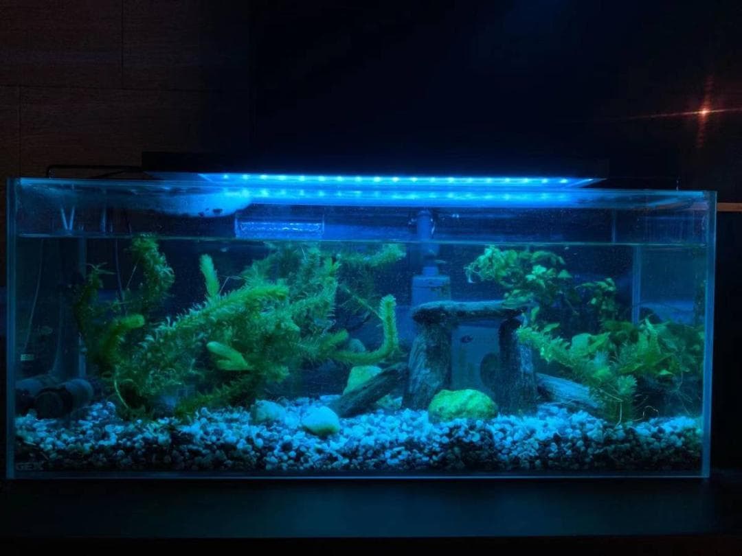 LED 水槽 アクアリウムライト 120cm～135cm タイマー付き