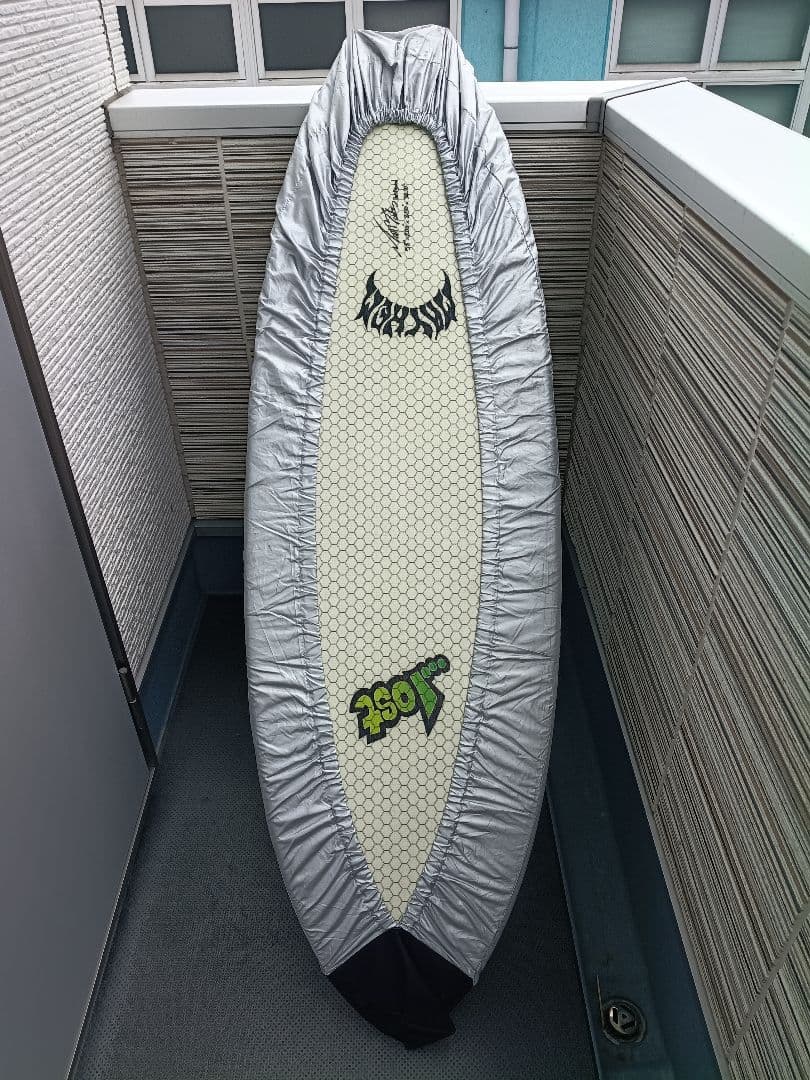 LOST LIBTECH ROUND NOSE FISH 5'8\"ハードケース付