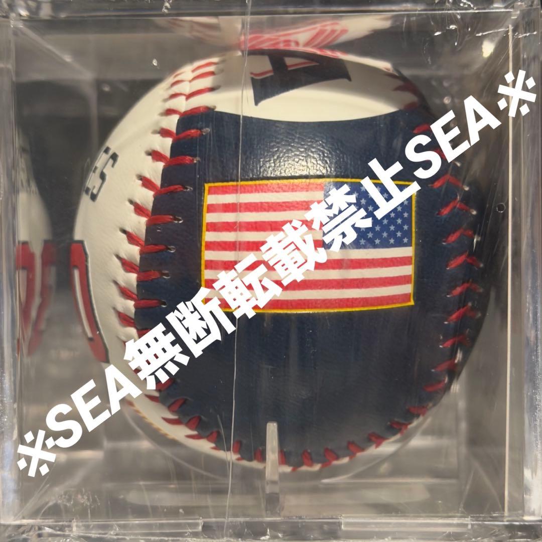 超激レア　2026 WBC アメリカ代表 ジャッジ ローリングス 記念ボール