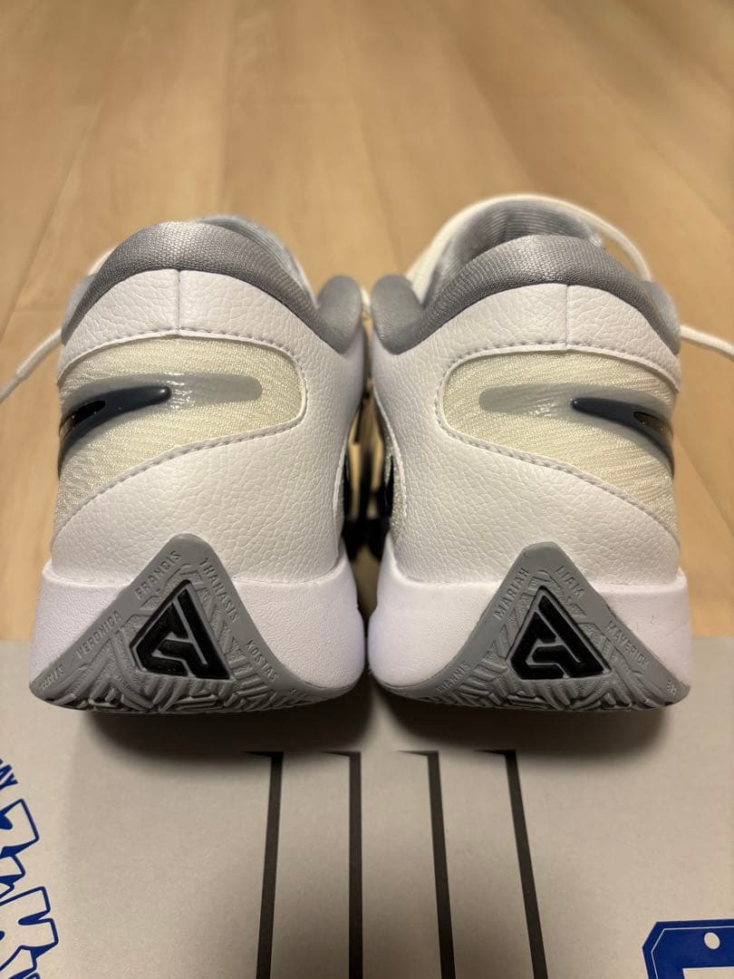 【NIKE】GIANNIS FREAK 6