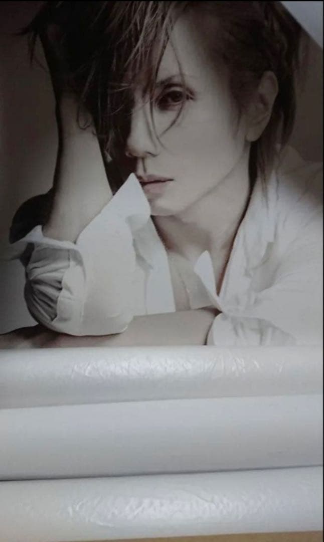 Acid Black Cherry ポスター　カレンダー　セット