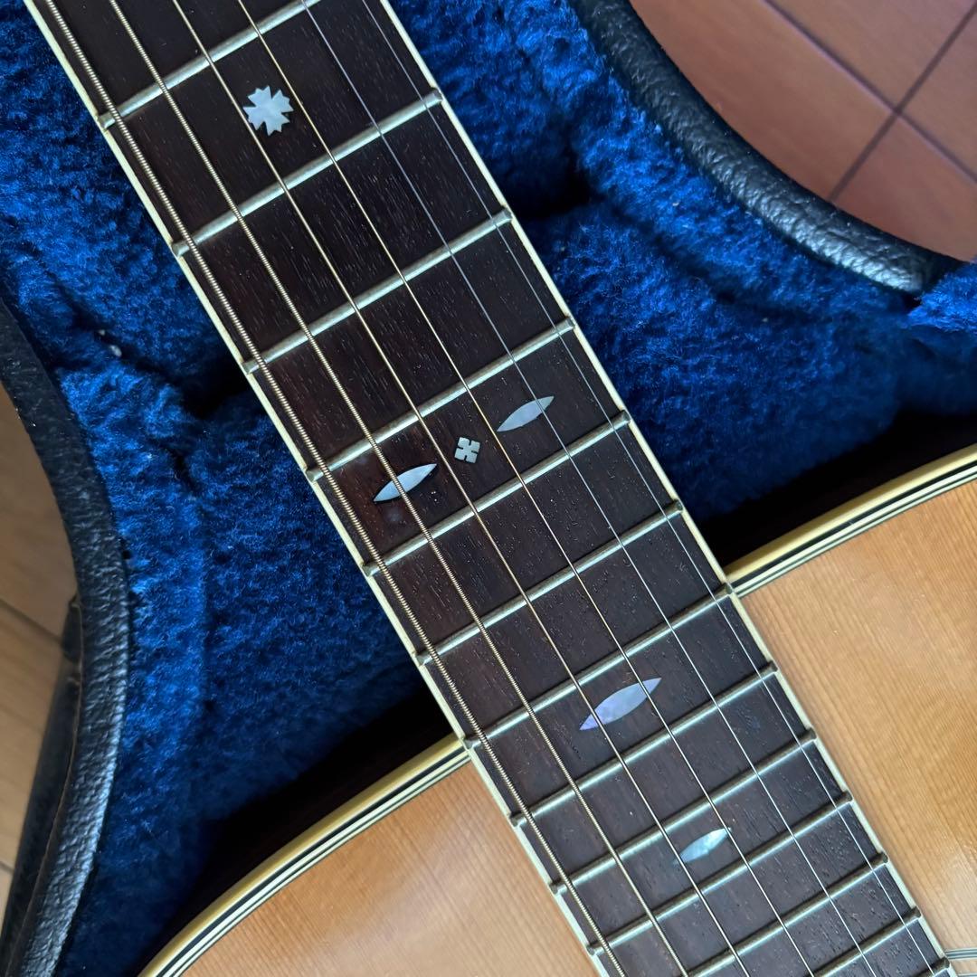 Cat's Eyes CE-600 大文字ロゴ 東海楽器アコースティックギター