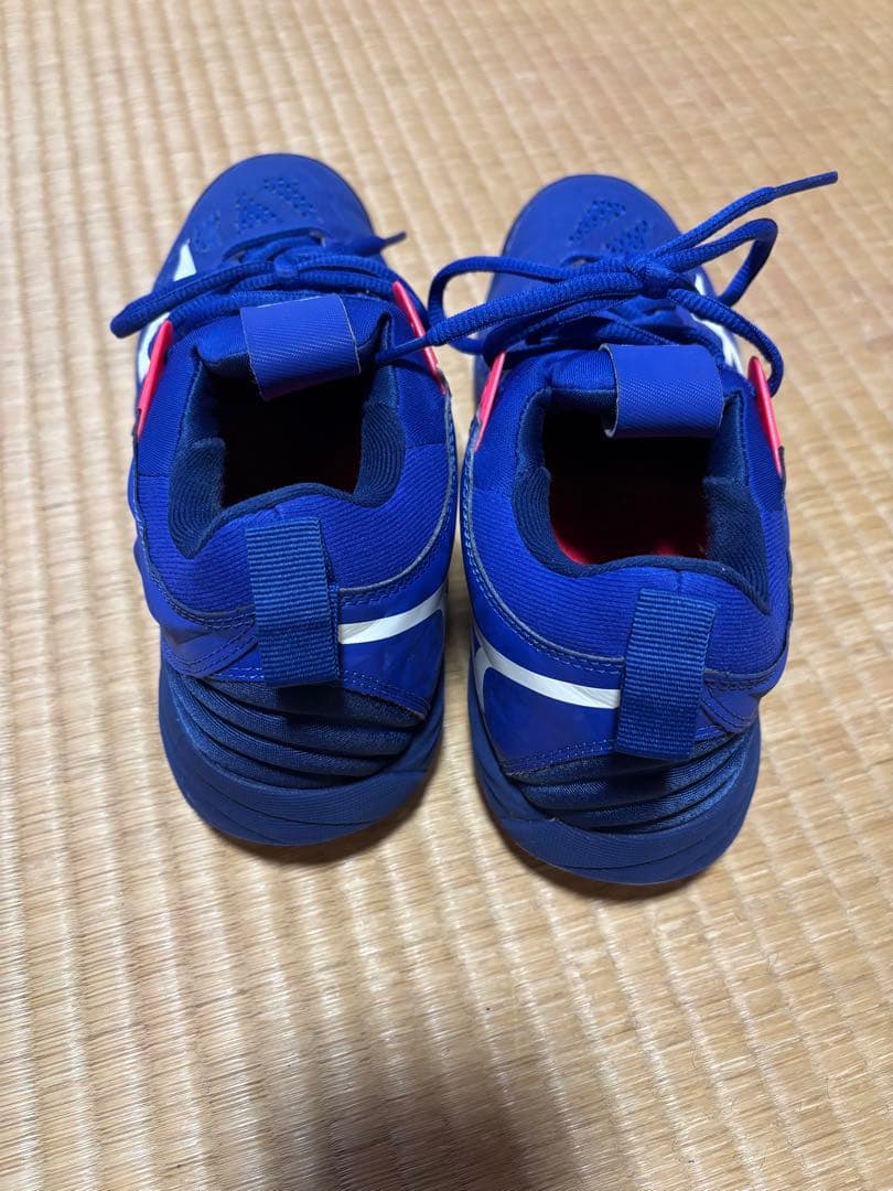 ★MIZUNOシューズ25.5cm★シューズケース付き