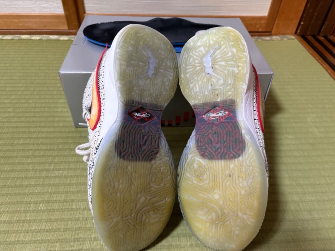 シューズ(男性用) LeBron 20 26.5cm
