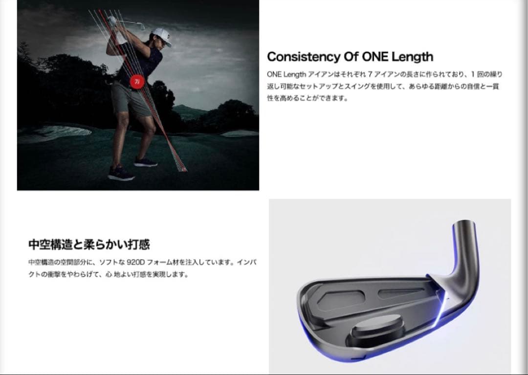 コブラ　ダークスピードワンレングスアイアン