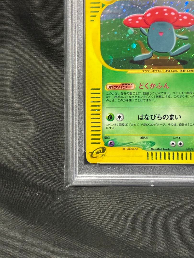 世界282枚 00番 PSA10 ラフレシア カードe 2001 100 5