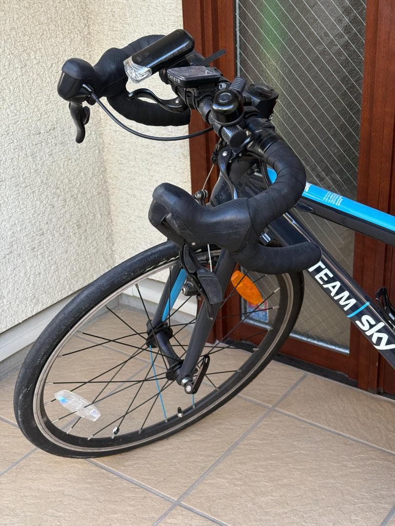 子供用　20インチバイク　Frog Road TEAMSky 改造あり