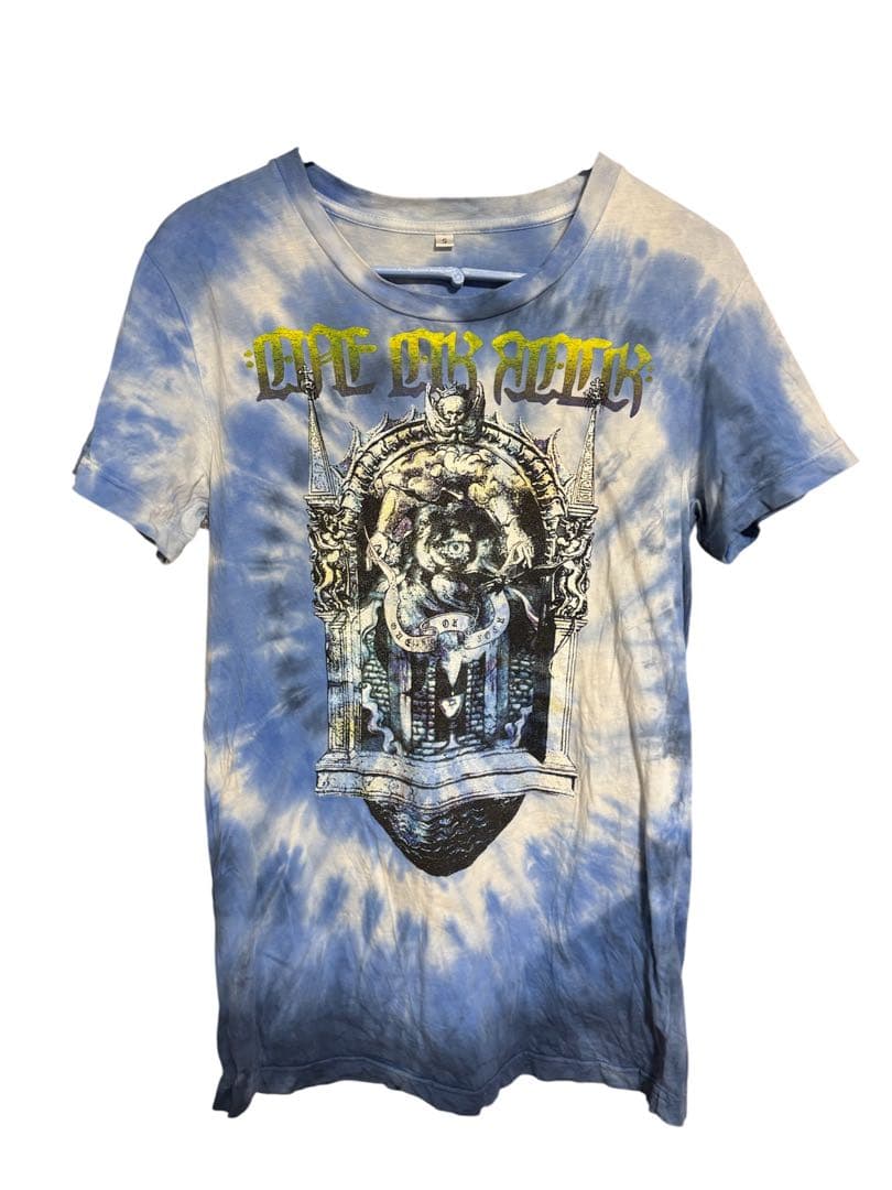 ONE OK ROCK 激レア入りTシャツセット全15枚