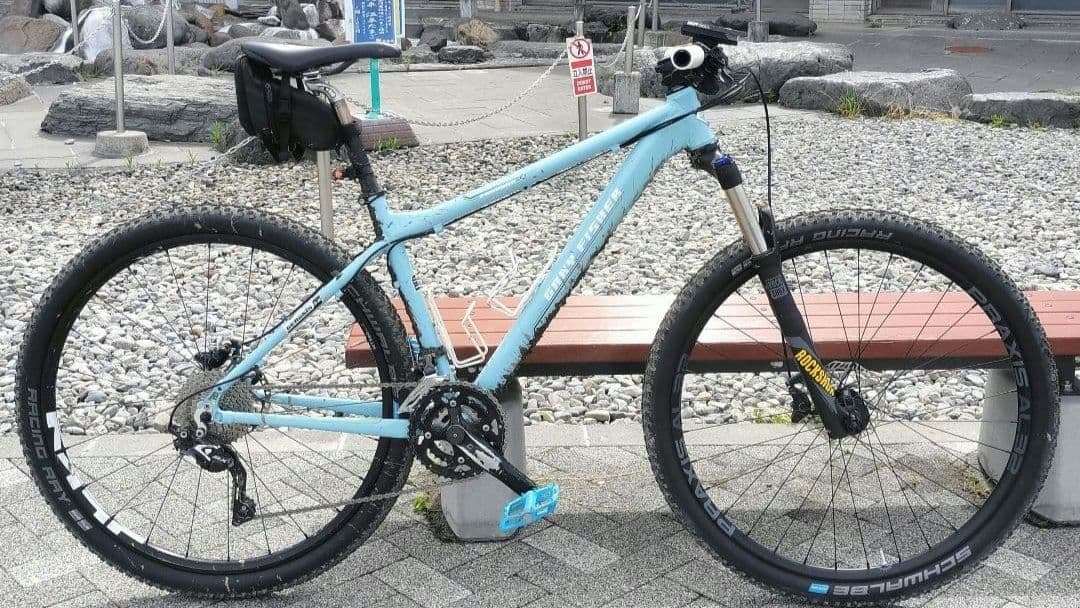 Gray Fisher Paragon 29 マウンテンバイクフレーム