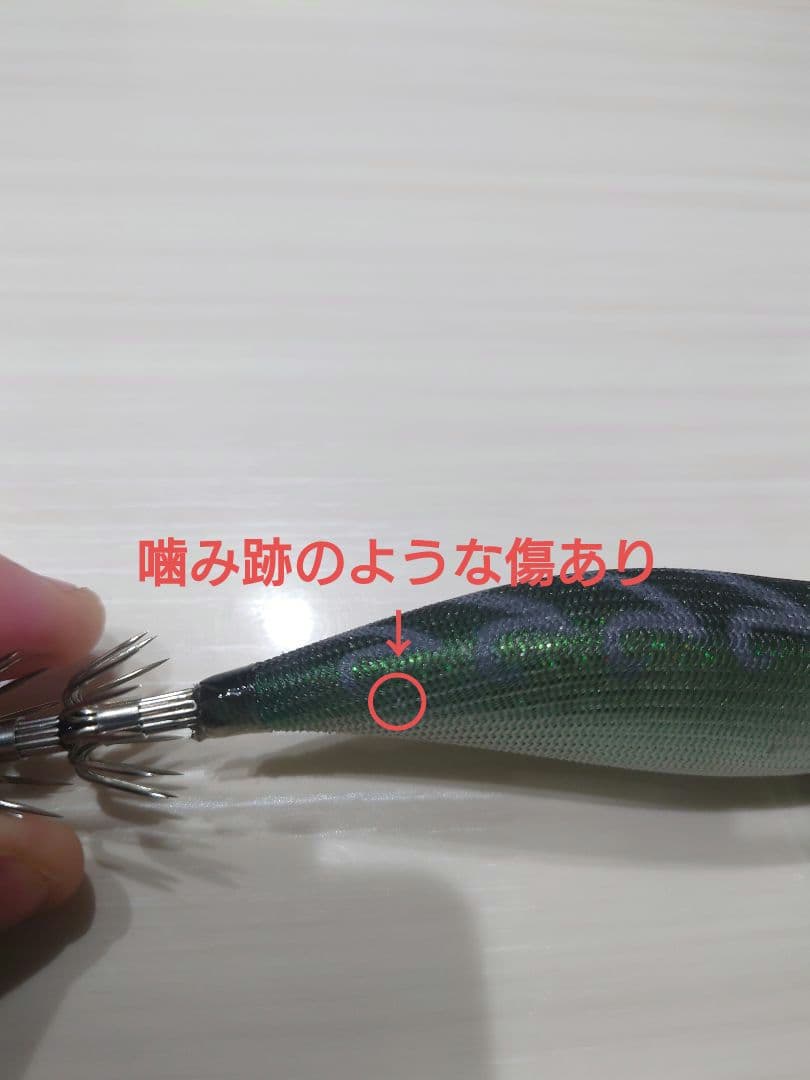 ティップランエギ&シンカーセット