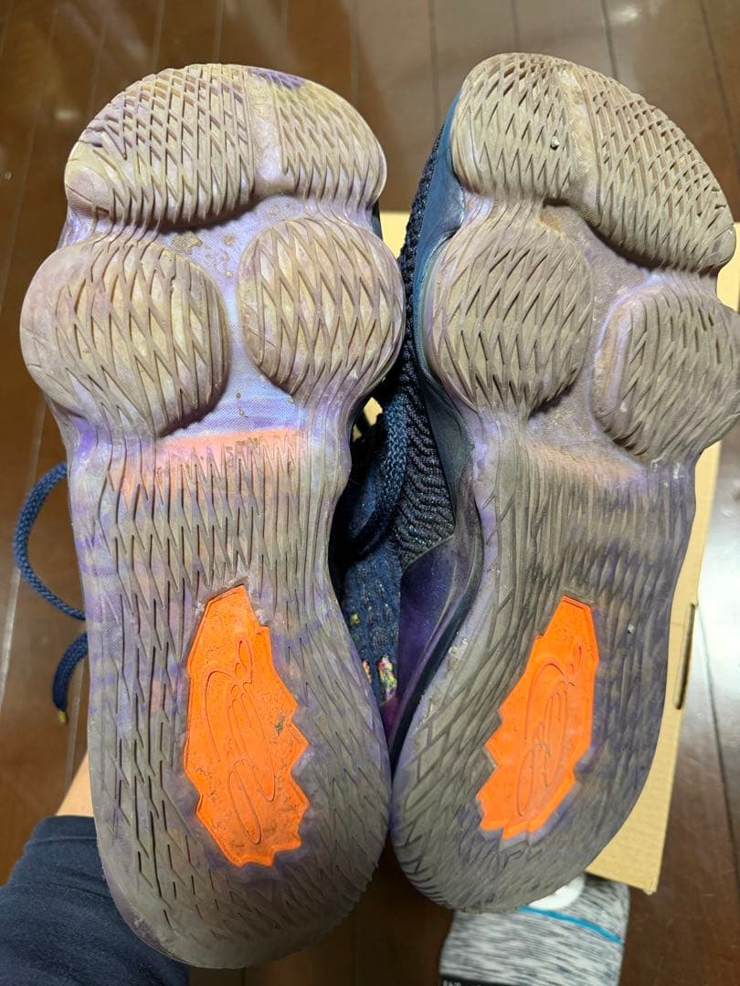 NIKE LEBRON17 ALL STAR \"MONSTARS\" 27㎝