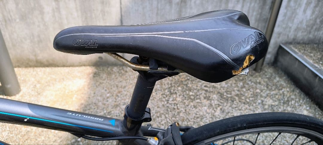 Fuji Ace20 キッズ自転車 グレー/青