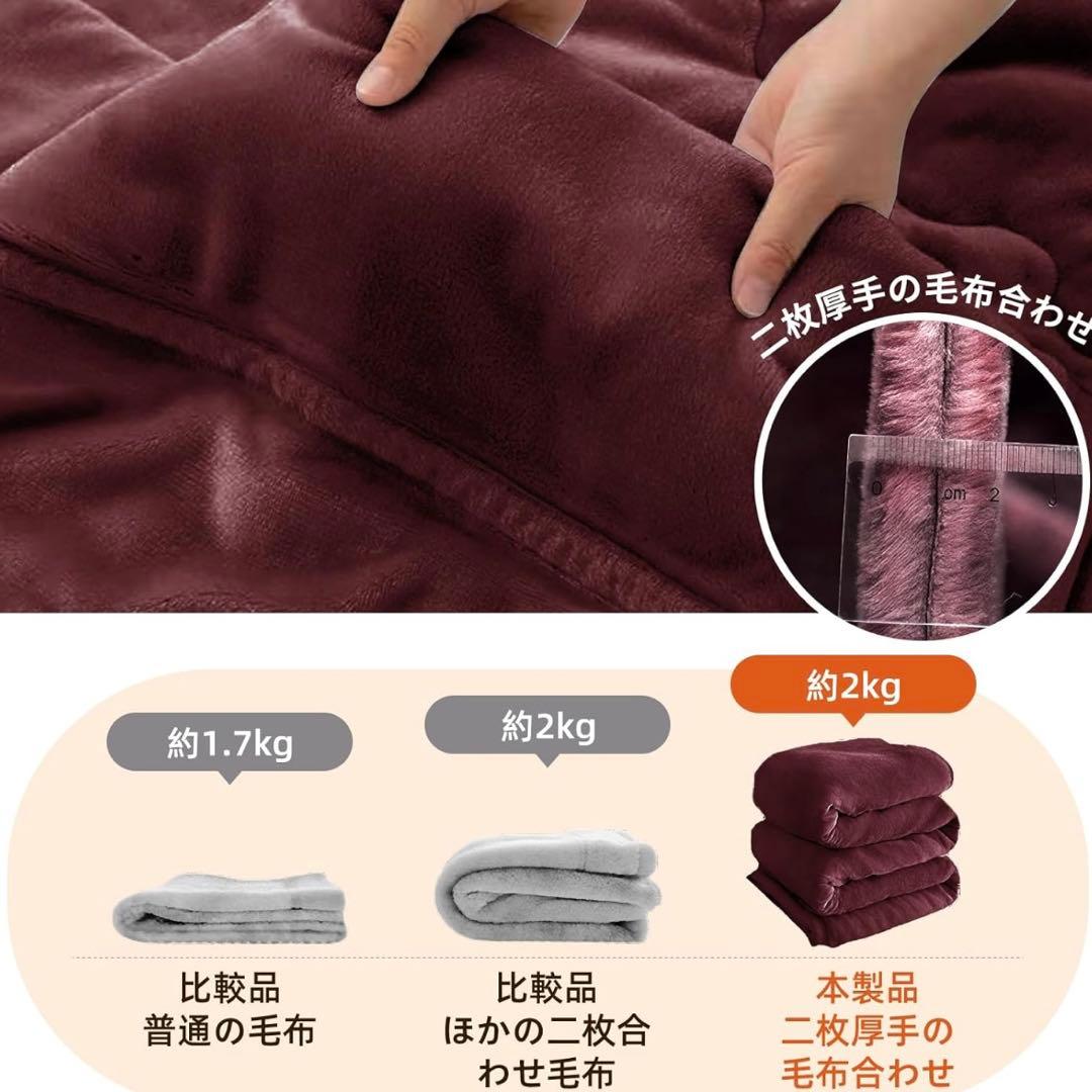 毛布 ダブル 2枚セット 冬 厚手 暖か ブランケット 二枚合わせ もうふ