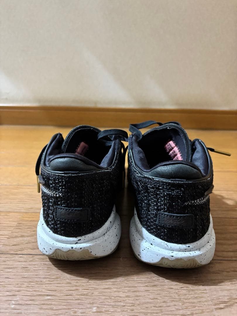 Nike LeBron 20（ナイキ レブロン 20）