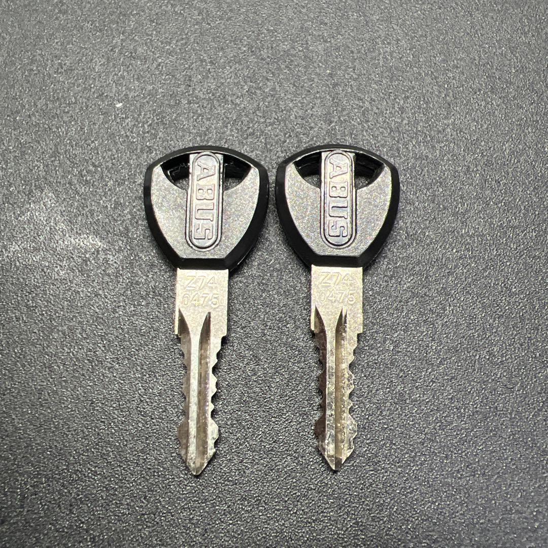 ABUS アブス STEEL-O-CHAIN 880 110cm レベル8