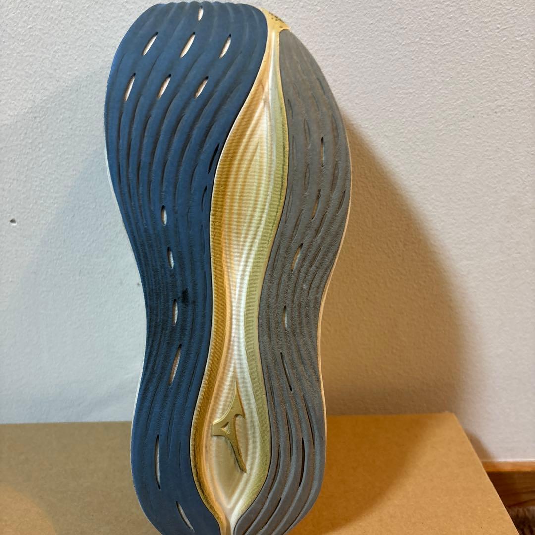 Mizuno ネオゼン26.5cm