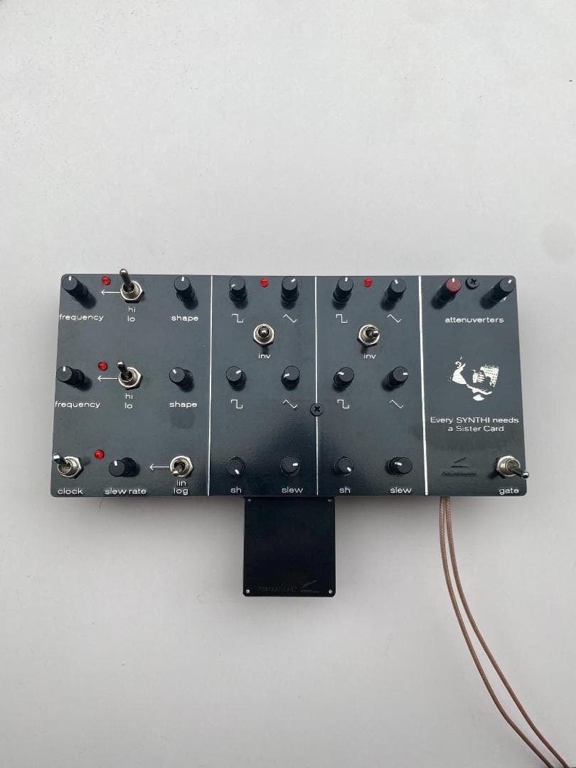 鍵盤楽器 Portabellabz Sister Card for EMS Synthi