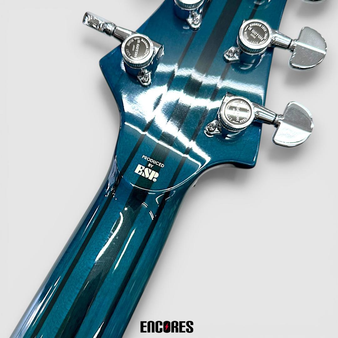 ギター EDWARDS E-FR-145GT FOREST